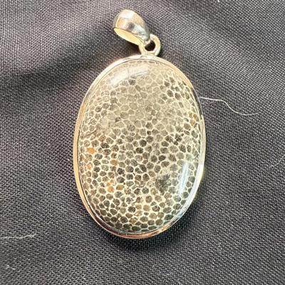 Black fossilized (925) Pendant