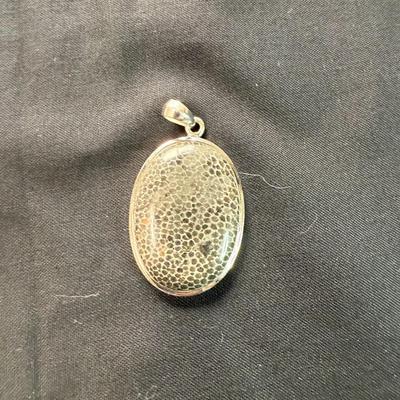 Black fossilized (925) Pendant