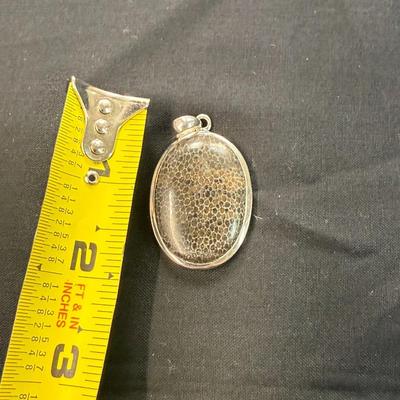 Black fossilized (925) Pendant