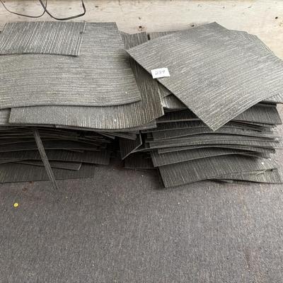 40 Carpet Squares