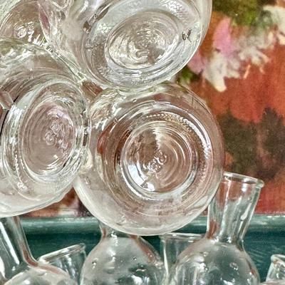 Vintage Glass Propagation Station