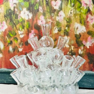 Vintage Glass Propagation Station