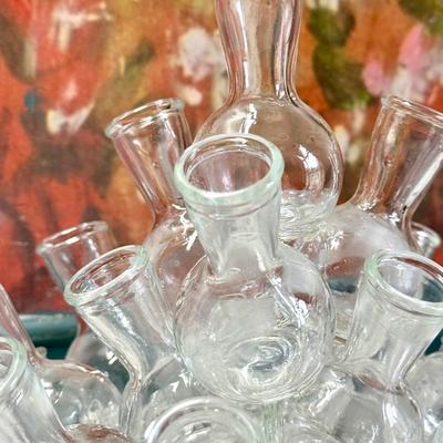 Vintage Glass Propagation Station