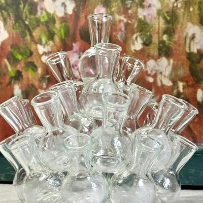 Vintage Glass Propagation Station