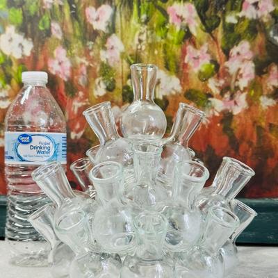 Vintage Glass Propagation Station