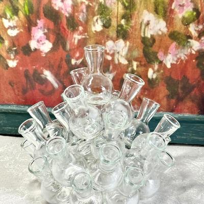 Vintage Glass Propagation Station