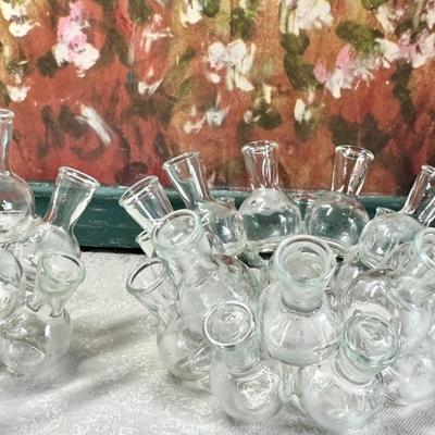 Vintage Glass Propagation Station