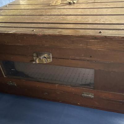 Vintage Wisconsin Ironclad Incubator