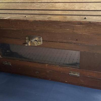 Vintage Wisconsin Ironclad Incubator