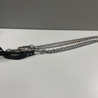 Dog metal leashes