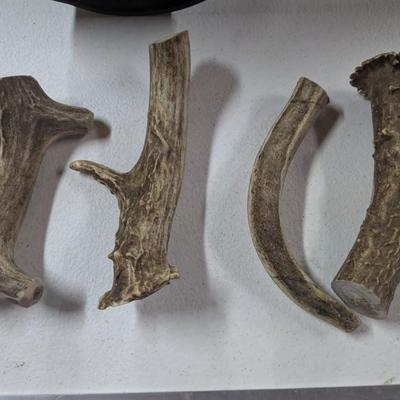 Antler pieces