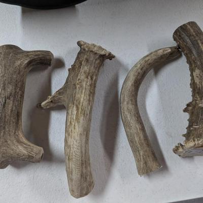 Antler pieces