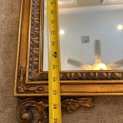 Gold Gilt Long Wall Mirror