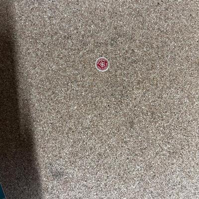 Pimpernel placements (4)