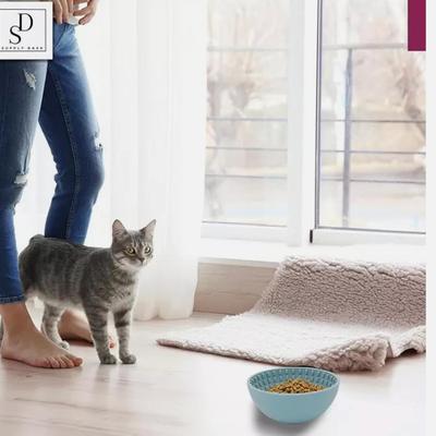 SUPPLY DASH Dog Cat Lick Bowl, Slow Feeder, Wobble, Fun Textured Silicon Bowl