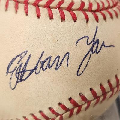 lot of 4 Orioles OMLB Signed Autographed Baseball In Collectors Case Mike Fetters, Estaban Yan, Rick Burleson , RichAmaral