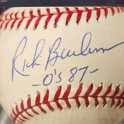 lot of 4 Orioles OMLB Signed Autographed Baseball In Collectors Case Mike Fetters, Estaban Yan, Rick Burleson , RichAmaral