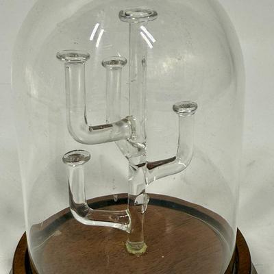 Hand-Blown Glass Figurines & Display Lot - Clown Hummingbird Cactus tree