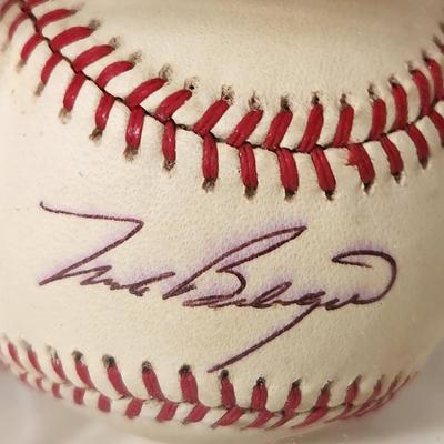 Lot of 4 OMLB Signed Autographed Baseballs Hank Bauer, Dave Johnson, Tippy Martinez, Mark Belanger