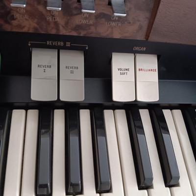 HAMMOND ORGAN WITH ALL THE BELLS AND WHISTLES, PIANO LIGHT AND A BENCH PLUS A LOT OF SHEET MUSIC