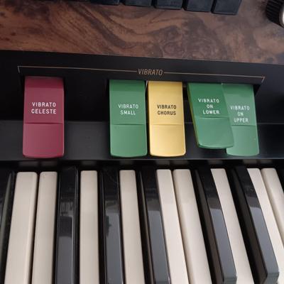 HAMMOND ORGAN WITH ALL THE BELLS AND WHISTLES, PIANO LIGHT AND A BENCH PLUS A LOT OF SHEET MUSIC