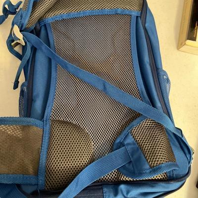 Storage and backpack