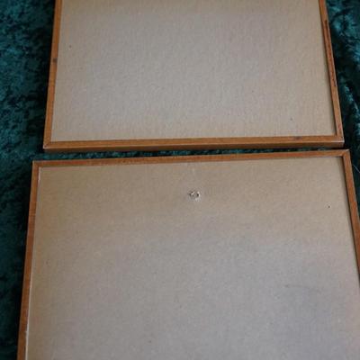 VINTAGE 1950-60'S FRAMED LITHOGRAPH PRINTS OF FRUIT FRAMED
