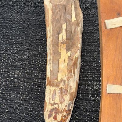 E10-Image of Bears on Whale Bone (Scrimshaw)