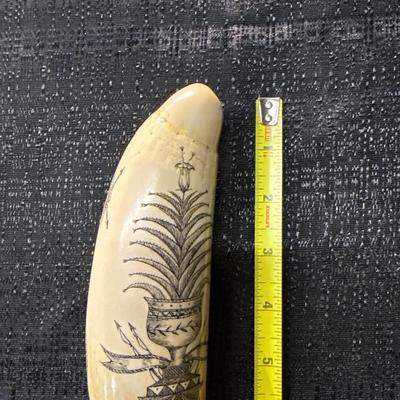 E11-Images on whale tooth replica
