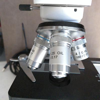 AmScope Microscope