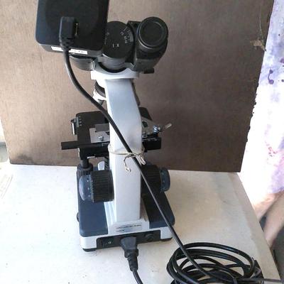 AmScope Microscope