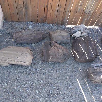 Petrified Wood pieces