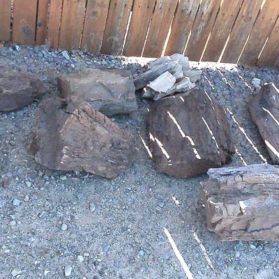 Petrified Wood pieces