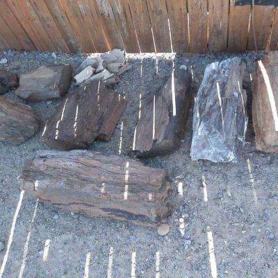Petrified Wood pieces