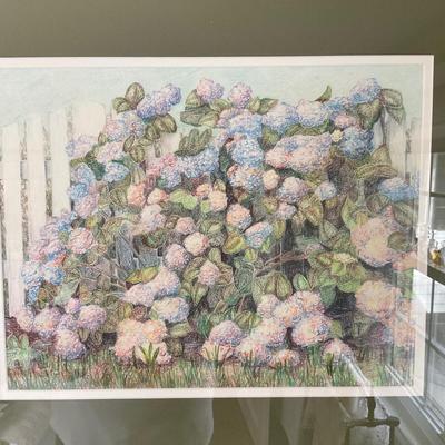 UD759 Original Pencil Sketch of Hydrangeas by Gainor Urian