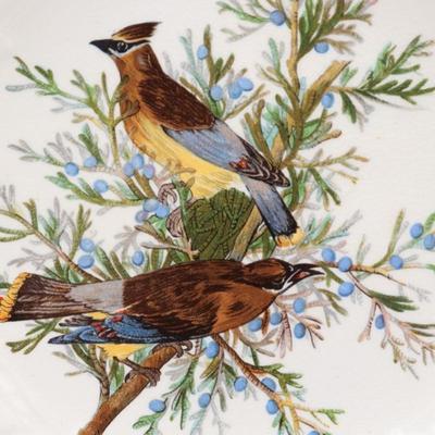 Alfred Meakin Birds of America Plates (2)