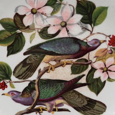 Alfred Meakin Birds of America Plates (2)