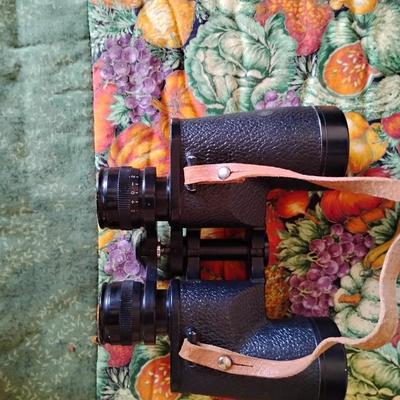 Vintage Binoculars