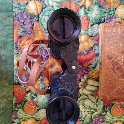 Vintage Binoculars