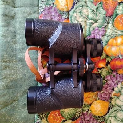 Vintage Binoculars