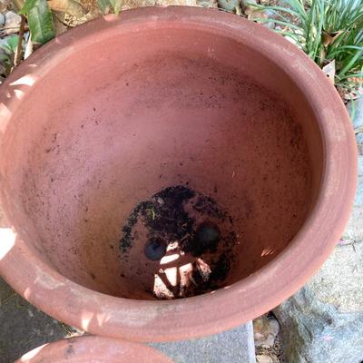 LOT 114: Assortment of Ceramic/Clay Planters
