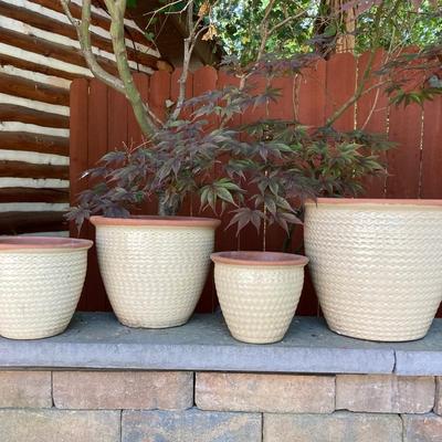 LOT 114: Assortment of Ceramic/Clay Planters