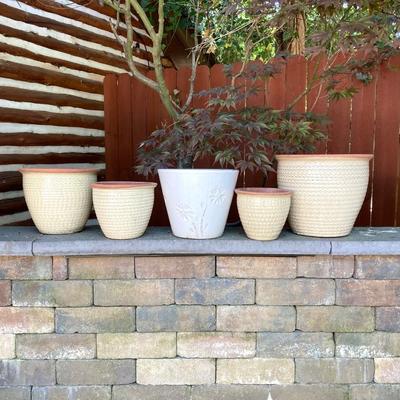 LOT 114: Assortment of Ceramic/Clay Planters