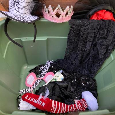 LOT 118: Costumes - Adult, Children’s and Pet