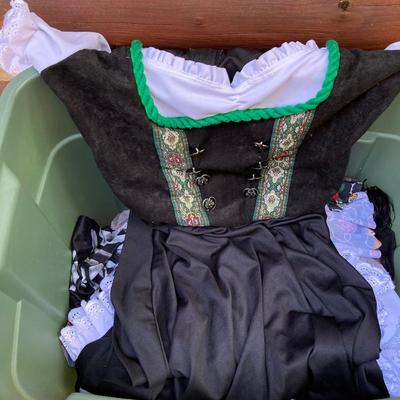 LOT 118: Costumes - Adult, Children’s and Pet
