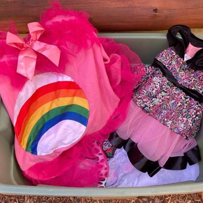 LOT 118: Costumes - Adult, Children’s and Pet