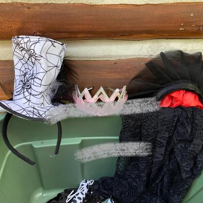 LOT 118: Costumes - Adult, Children’s and Pet