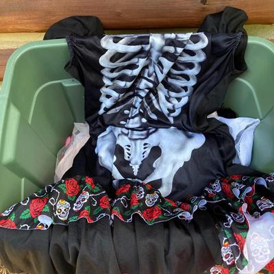 LOT 118: Costumes - Adult, Children’s and Pet