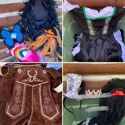 LOT 118: Costumes - Adult, Children’s and Pet