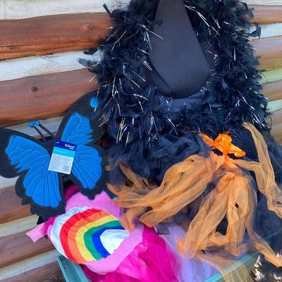 LOT 118: Costumes - Adult, Children’s and Pet